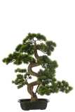 Pine Bonsai Artificial Green Large