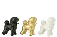 Hond Poodle Resine Goud/Zwart/Wit