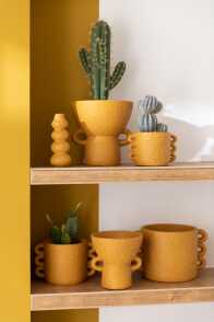 Succulente + Vaso Cemento Verde