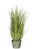 Grasses Wild In Pot Metal Green