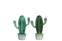 Vase Kaktus+Topf Glas Mix Grün 2